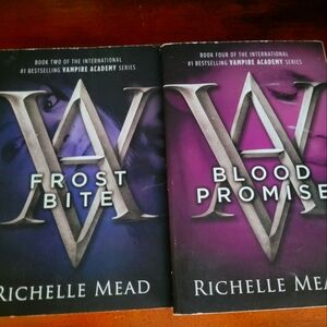 Vampire academy books 2 and 4